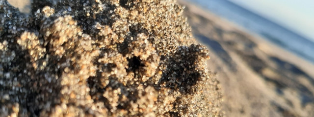 ふうせん🦍さんの壁紙画像