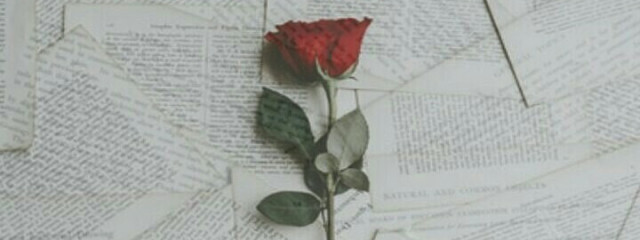 NIJIHA🥀💋さんの壁紙画像