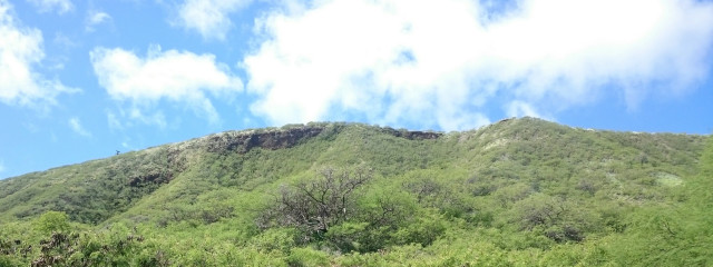 シキさんの壁紙画像