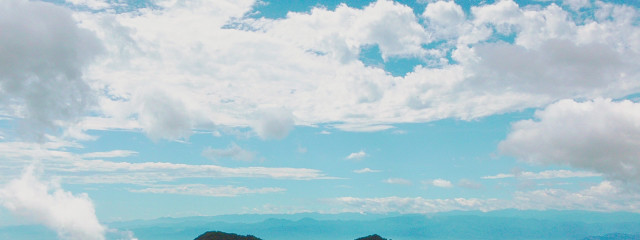 薬指さんの壁紙画像