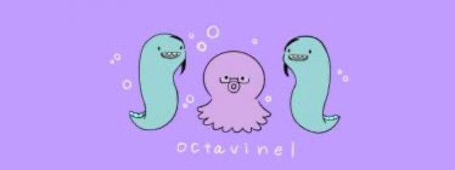 はくと🤟🐬さんの壁紙画像