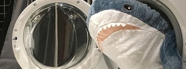 konoさんの壁紙画像