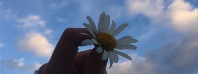 🌻向日葵🌻さんの壁紙画像