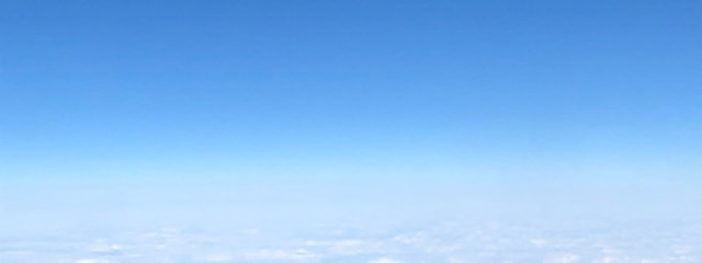 サナちむ🐶🐤さんの壁紙画像