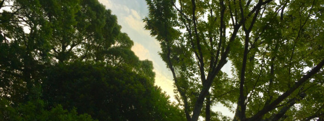 ひなのさんの壁紙画像