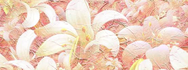 Lilyさんの壁紙画像