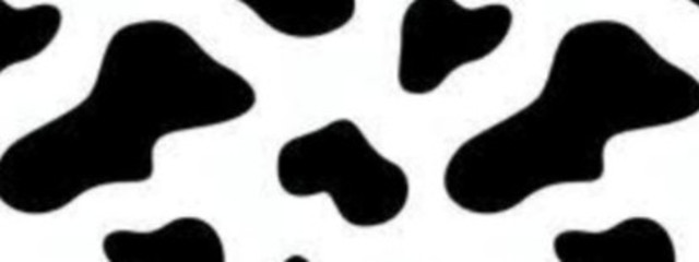 もゐもゐ🐝さんの壁紙画像