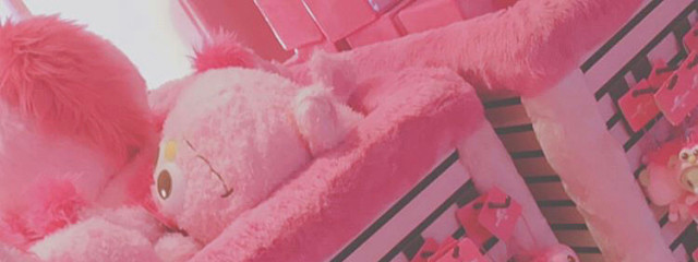 オレンジ食べる猫さんの壁紙画像