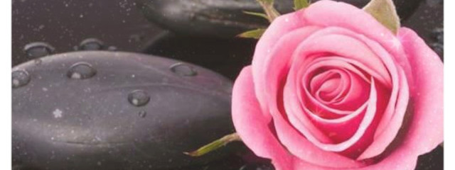 夜美さんの壁紙画像