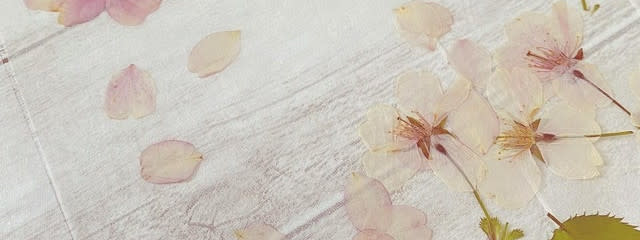 みここさんの壁紙画像