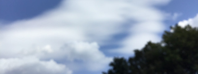 ANOさんの壁紙画像