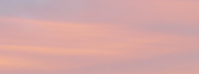 🍈🍞さんの壁紙画像