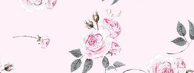 琴 葉さんの壁紙画像