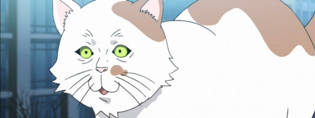 チョコミントさんの壁紙画像