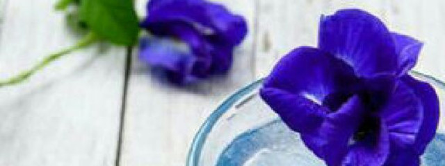 𝒦𝒶𝑔𝓊𝓎𝒶__🥀さんの壁紙画像