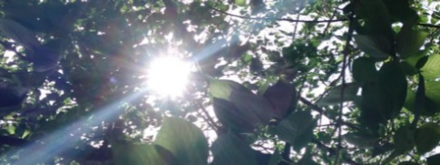 アンチ？殺戮したる！気軽にコメントしてけー！さんの壁紙画像