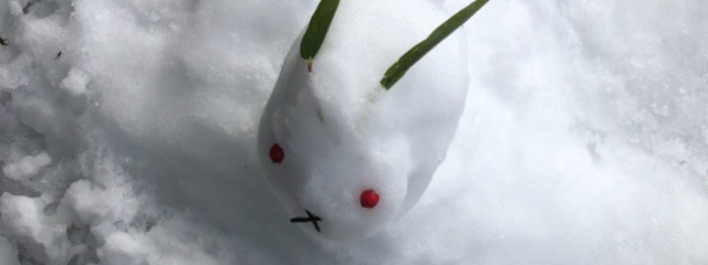はなさんの壁紙画像