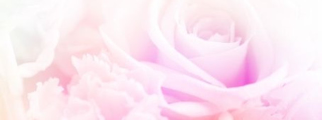 まいかさんの壁紙画像