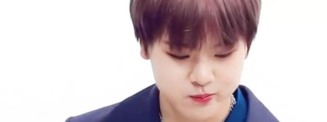 ととろさんの壁紙画像