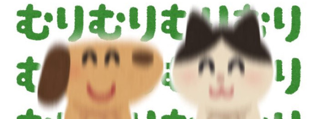 だう🙌💘さんの壁紙画像
