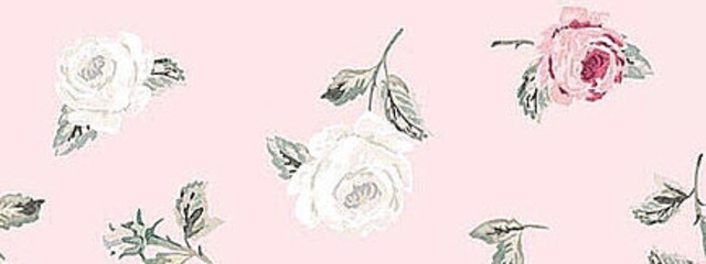 う ら ら ໒꒱さんの壁紙画像