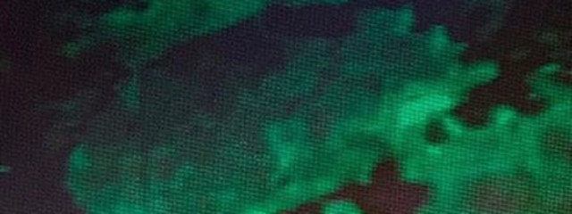 九尾🦊さんの壁紙画像