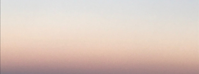 美亜さんの壁紙画像