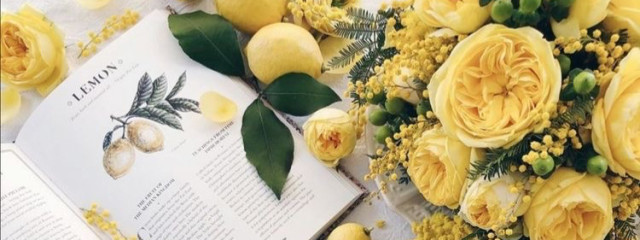 ミーミさんの壁紙画像