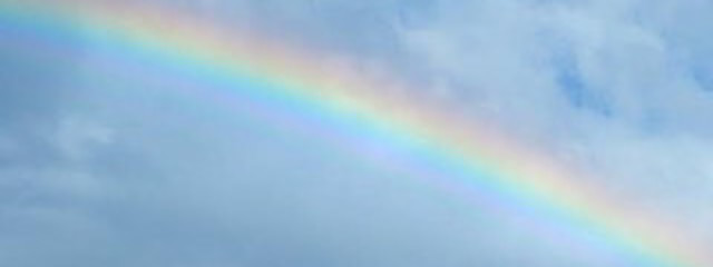 #Swan…さんの壁紙画像