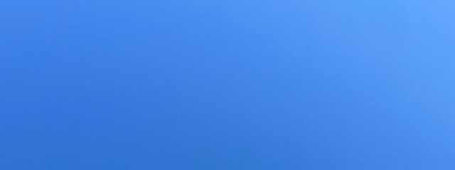 colon_🔪💙さんの壁紙画像