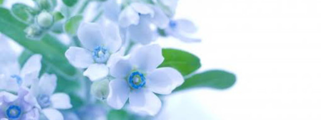 ちき赤さんの壁紙画像