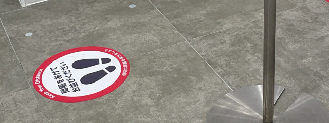 サラさんの壁紙画像