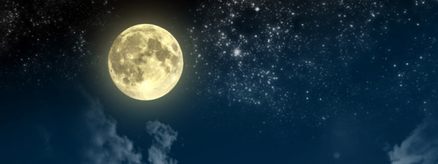 蓮さんの壁紙画像