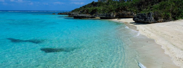 🐧🐧🐧🐧さんの壁紙画像