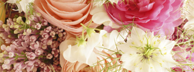 はりねずみくんとばぶちゃんさんの壁紙画像