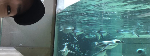 🐧さんの壁紙画像