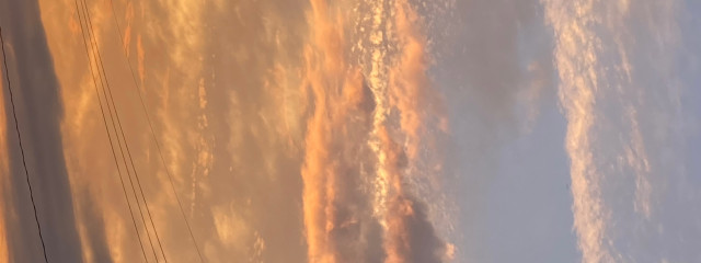 みかんさんの壁紙画像