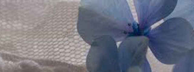 はぬるさんの壁紙画像