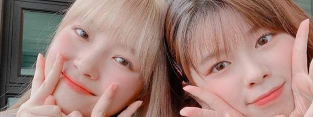 ロゴ組推し♡ ゆり  🕊🍃☾ﾕﾘﾙ組☽･:*｡꙳さんの壁紙画像
