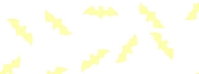 すーさんの壁紙画像