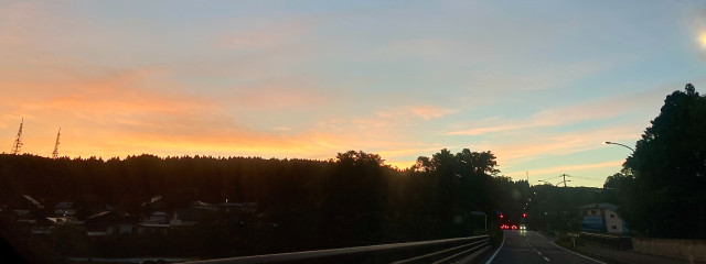 桜花さんの壁紙画像