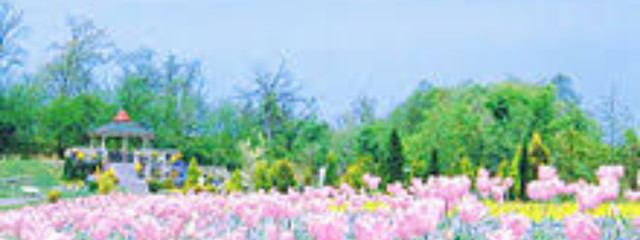 🌱ΜУ🔨さんの壁紙画像