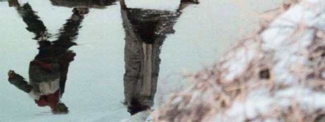 Nojamさんの壁紙画像