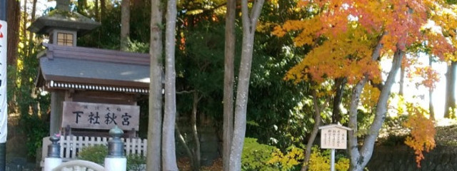 のはら智里-chisato-さんの壁紙画像