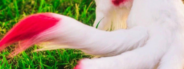 鈴蘭@ﾅﾅｾｽﾄさんの壁紙画像