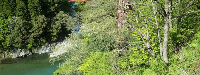 しゃくしゅかさんの壁紙画像