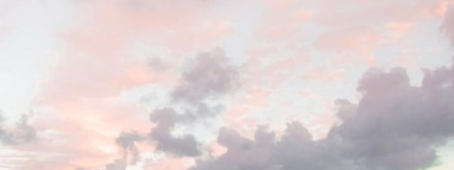 ────  も  ふ   か 。🐻‍❄️さんの壁紙画像