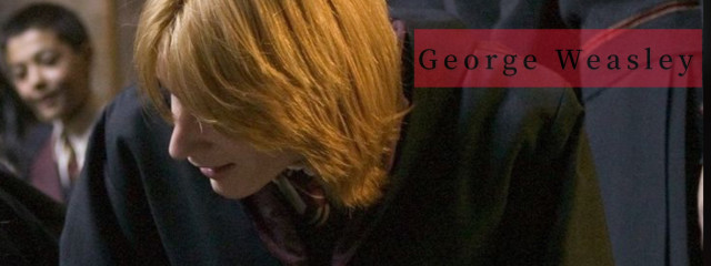 𝐋𝐀𝐓𝐓𝐄さんの壁紙画像