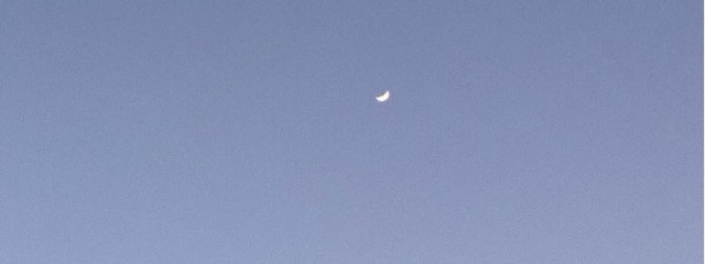 ナタちゃさんの壁紙画像