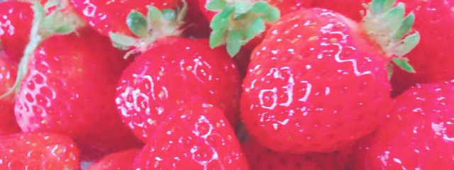 しほさんの壁紙画像